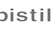 Discover the Art of accessorizing: A comprehensive review of PistilDesigns.com