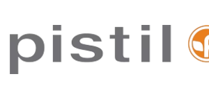 Discover the Art of accessorizing: A comprehensive review of PistilDesigns.com