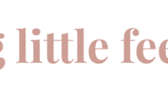 Navigating toddlerhood with confidence: An in-depth review of BigLittleFeelings.com