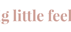 Navigating toddlerhood with confidence: An in-depth review of BigLittleFeelings.com