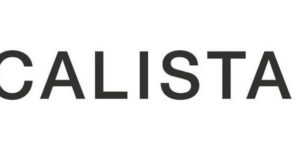 CalistaTools.com: Elevate your hair styling experience