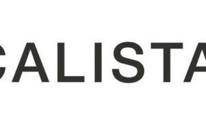 CalistaTools.com: Elevate your hair styling experience