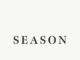 Capturing life’s milestones: An in-depth review of SeasonJournals.com