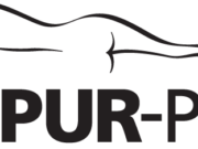 Tempur-Pedic: A comprehensive review of Tempurpedic.com