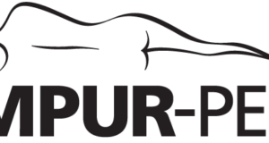 Tempur-Pedic: A comprehensive review of Tempurpedic.com