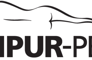 Tempur-Pedic: A comprehensive review of Tempurpedic.com