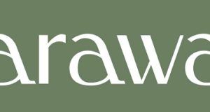 Caraway home review: Is this the best cookware for your kitchen?