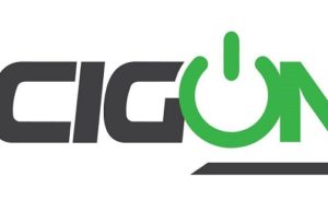 Exploring Ecigone.co: A comprehensive review of the premier online vape store