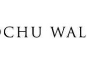 Effortless elegance: A deep dive into Brochu walker and why it’s worth your attention