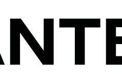 Elegance in every stitch: A comprehensive review of Chantelle