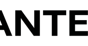 Elegance in every stitch: A comprehensive review of Chantelle