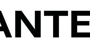 Elegance in every stitch: A comprehensive review of Chantelle