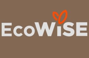 Ecowise Vitamins Review – Clean Wellness, Transparent Ingredients, and a Focus on Natural Health
