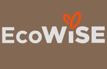 Ecowise Vitamins Review – Clean Wellness, Transparent Ingredients, and a Focus on Natural Health