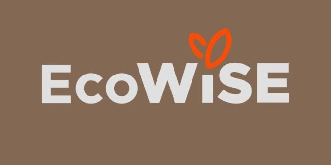 Ecowise Vitamins Review – Clean Wellness, Transparent Ingredients, and a Focus on Natural Health