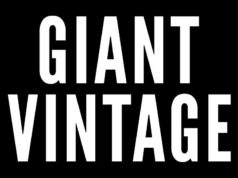 Giant Vintage: A Deep Dive into the Retro Eyewear Revolution