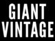 Giant Vintage: A Deep Dive into the Retro Eyewear Revolution