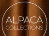 Exploring Alpaca Elegance – A Full Review of Alpaca Collections