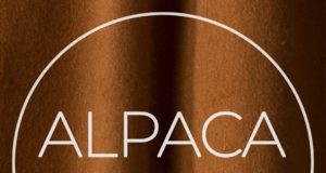 Exploring Alpaca Elegance – A Full Review of Alpaca Collections