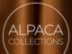 Exploring Alpaca Elegance – A Full Review of Alpaca Collections