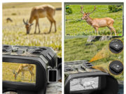 Discovering the WOSPORTS Amazon Brand Store: A Solid Choice for Outdoor Gear