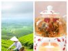 Teabloom Review: Elevate Every Cup with Premium Teaware and Blends