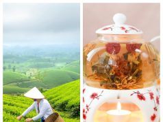 Teabloom Review: Elevate Every Cup with Premium Teaware and Blends