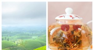 Teabloom Review: Elevate Every Cup with Premium Teaware and Blends