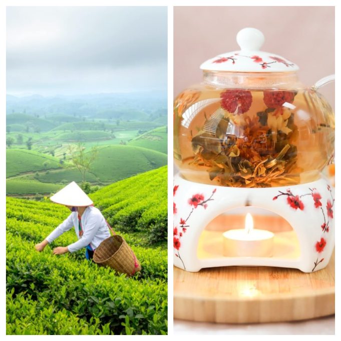 Teabloom Review: Elevate Every Cup with Premium Teaware and Blends