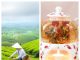Teabloom Review: Elevate Every Cup with Premium Teaware and Blends