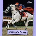 Nav.com financing marketplace showing matched business loan options
