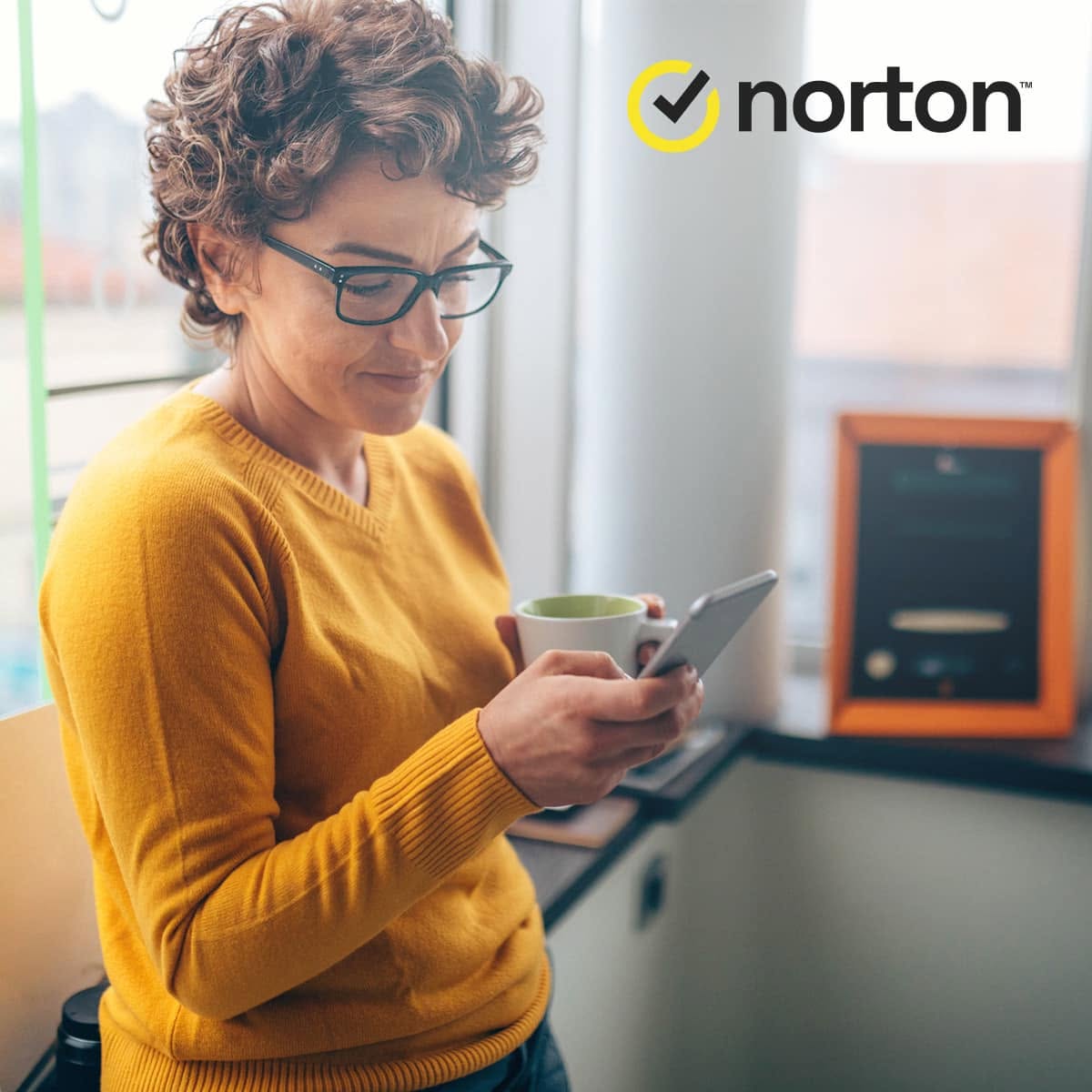 Norton password manager and dark web monitoring protecting user data